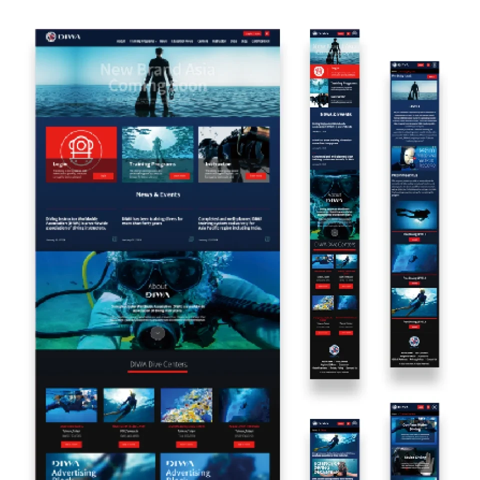DIWA website design